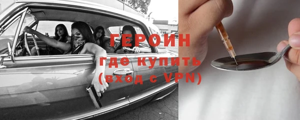 индика Арсеньев