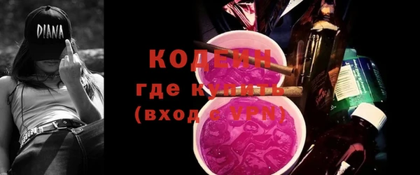 индика Арсеньев