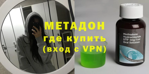 индика Арсеньев