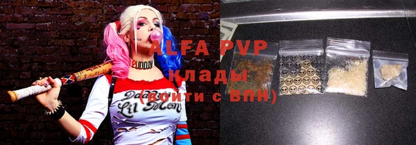 индика Арсеньев