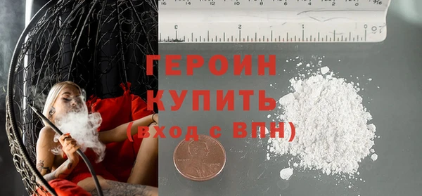 индика Арсеньев