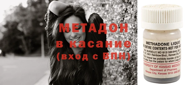 индика Арсеньев