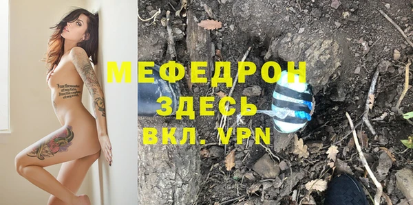 индика Арсеньев